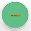 640.5 Permanent Green