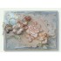 TC0830 Roses