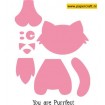 COL1353 Cat