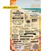 6410/0097 Tropical Summer