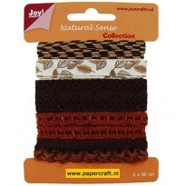 6300/0323 Ribbons Set 4