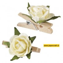 Mini Rozen Clip Crème