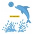 LR0332 Dolphin