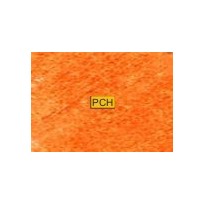 C080 Bright orange