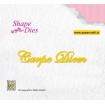 SD043 Latin Text Carpe Diem