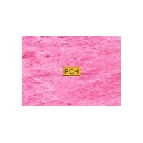 C210 Pink lavender