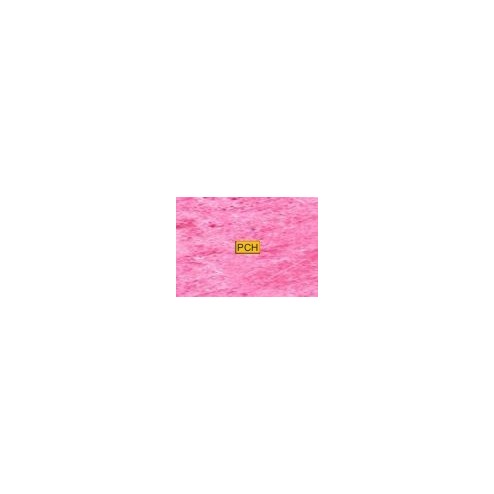 C210 Pink lavender