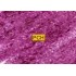 C240 Bright purple