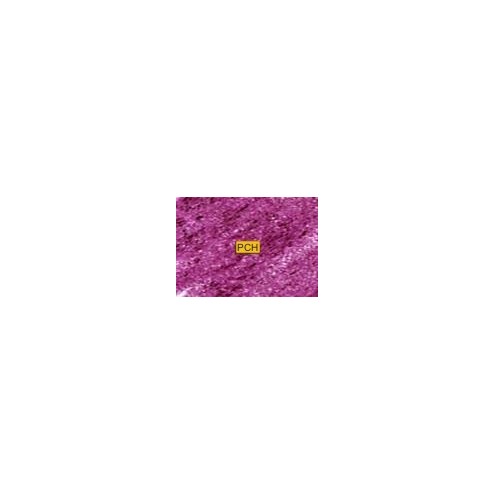 C240 Bright purple