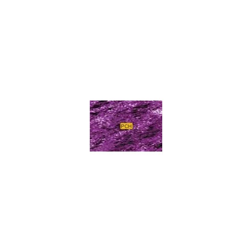 C250 Purple
