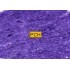 C270 Royal purple