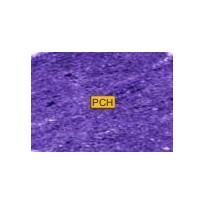 C270 Royal purple