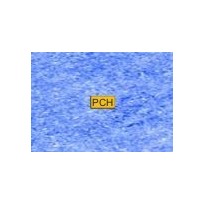 C290 Ultramarine