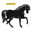 CR1297 Horse
