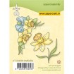 55.0393 Daffodils