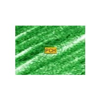 C420 Green