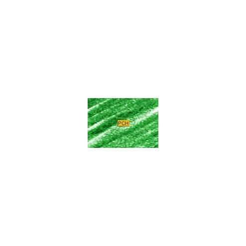 C420 Green