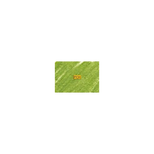 C450 Yellow green