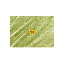 C500 Lichen green