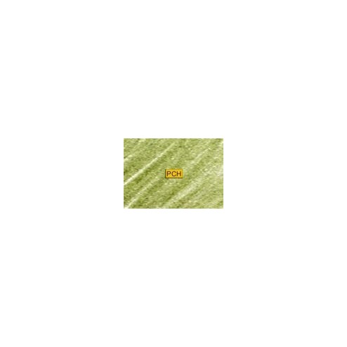 C500 Lichen green
