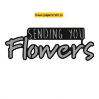 CR1310 Sending You Flowers