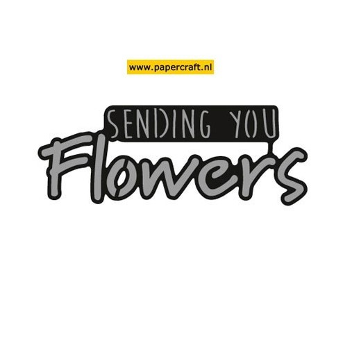 CR1310 Sending You Flowers