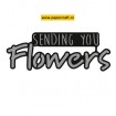 CR1310 Sending You Flowers