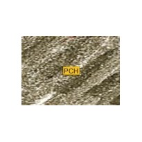 C640 Brown black