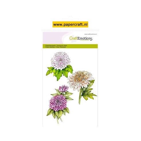 Chrysanten Tak