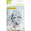 6410/0340 Narcis