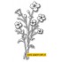 98472 Bella Bouquet