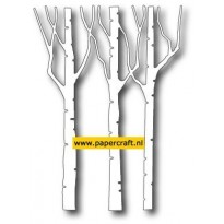 98617 Birch Trio