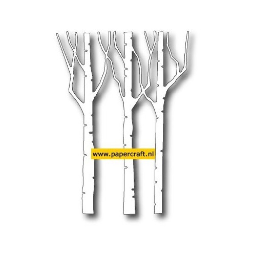 98617 Birch Trio