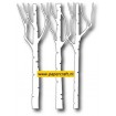 98617 Birch Trio