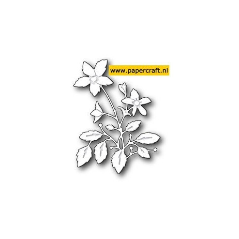 99059 Lenora Bloom