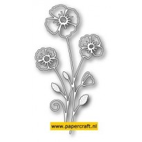 99068 Splendid Clarkia