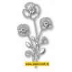 99068 Splendid Clarkia