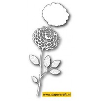 99086 Divine Dahlia