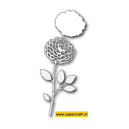 99086 Divine Dahlia