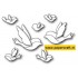 30017 Contempo Birds