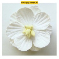 RB2233 Paper Flowers White