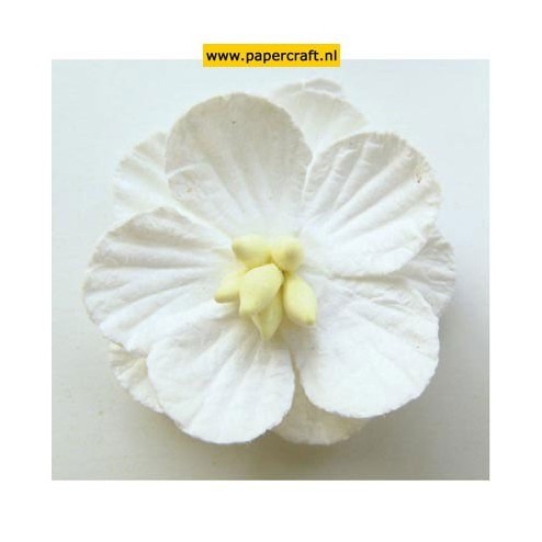 RB2233 Paper Flowers White