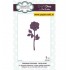 CED1439 Wild Rose