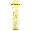 35.1758 Grass Long