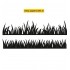 CR1355 Grass