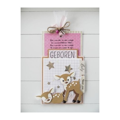 CS0959 Geboren
