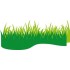 CR1355 Grass