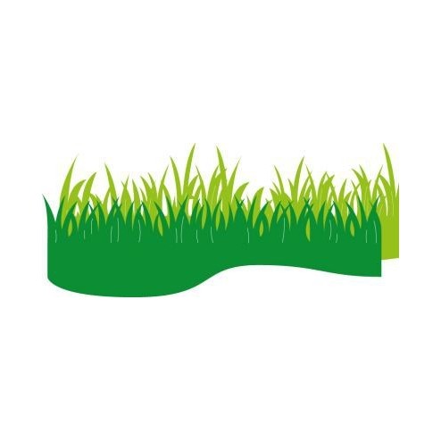 CR1355 Grass