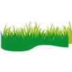 CR1355 Grass