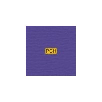 602 Violet